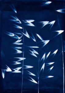 Ράνια Καλύβη