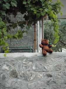 Μένη Σεϊρίδου - Σκόδρα