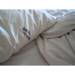 Αλέκα Τσιρώνη - Σχέδιο-διαφυγής