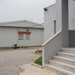 Αλέκα Τσιρώνη - Φοίνικας