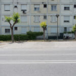 Αλέκα Τσιρώνη - Φοίνικας