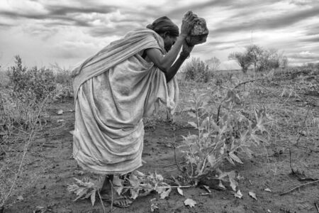 Νέρρης Μαρκογιάννης