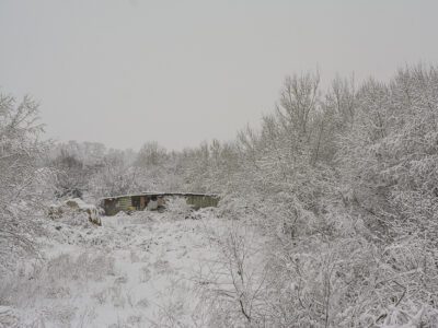 Βασίλης Νεμπεγλεριώτης