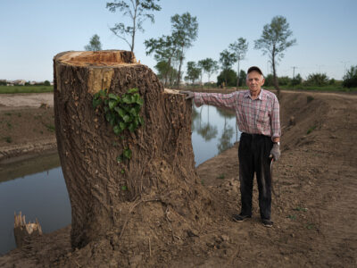 Βασίλης Νεμπεγλεριώτης