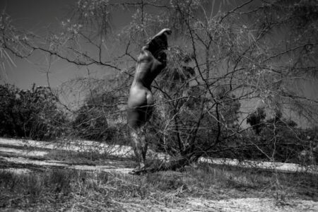 Στάθης Κουρής