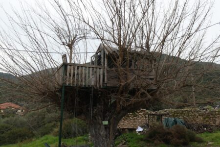 Στέφανος Χρόνης
