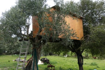 Στέφανος Χρόνης