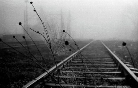 Σωτήρης Λάμπρου