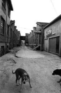 Σωτήρης Λάμπρου