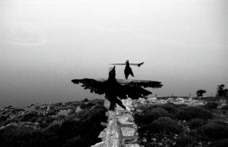 Σωτήρης Λάμπρου