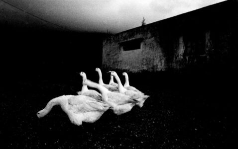 Σωτήρης Λάμπρου