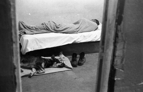 Σωτήρης Λάμπρου