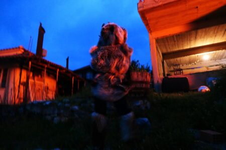 Στέφανος Χρόνης