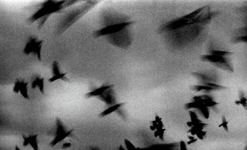 Σωτήρης Λάμπρου