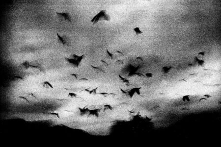 Σωτήρης Λάμπρου