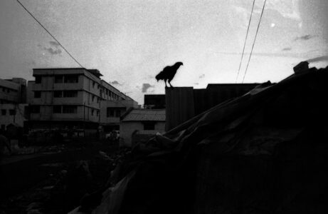 Σωτήρης Λάμπρου