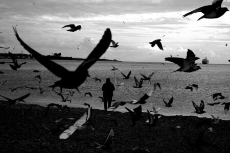 Σωτήρης Λάμπρου