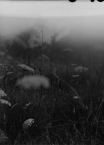 Morganna photography