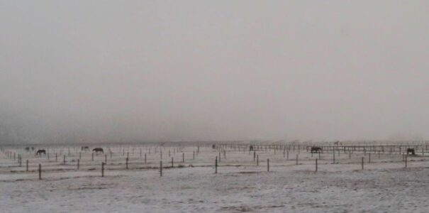 Δήμητρα Σωτηρίου- Ρομαντικός Δρόμος της Γερμανίας, στις Βαυαρικές Άλπεις