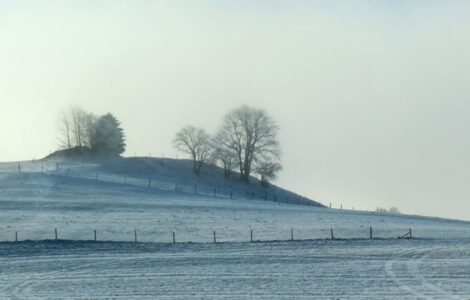 Δήμητρα Σωτηρίου- Ρομαντικός Δρόμος της Γερμανίας, στις Βαυαρικές Άλπεις