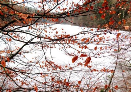 Δήμητρα Σωτηρίου - Λίμνη Βαλντβάιχερ, Ζυρίχη, Ελβετία