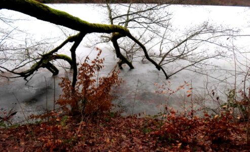Δήμητρα Σωτηρίου - Λίμνη Βαλντβάιχερ, Ζυρίχη, Ελβετία