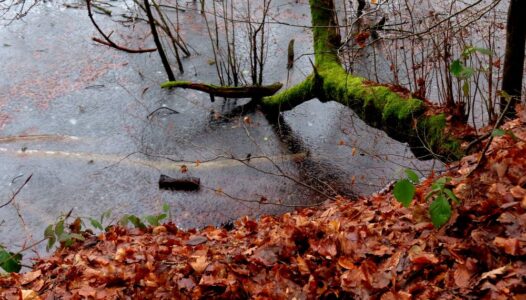 Δήμητρα Σωτηρίου - Λίμνη Βαλντβάιχερ, Ζυρίχη, Ελβετία