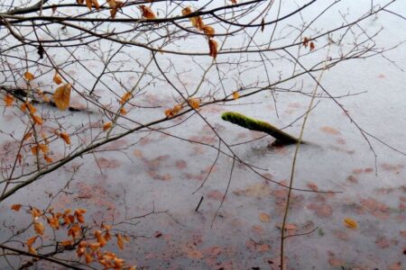 Δήμητρα Σωτηρίου - Λίμνη Βαλντβάιχερ, Ζυρίχη, Ελβετία