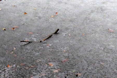 Δήμητρα Σωτηρίου - Λίμνη Βαλντβάιχερ, Ζυρίχη, Ελβετία