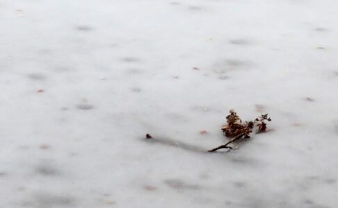 Δήμητρα Σωτηρίου - Λίμνη Βαλντβάιχερ, Ζυρίχη, Ελβετία