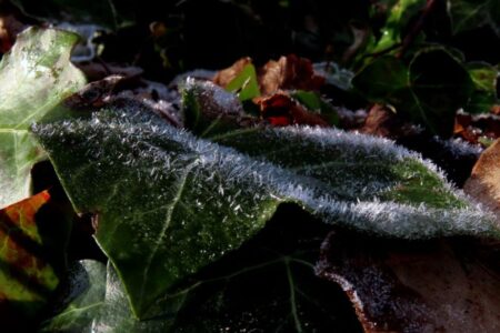 Δήμητρα Σωτηρίου - περιοχή Ίνσμπρουκ, Αυστρία