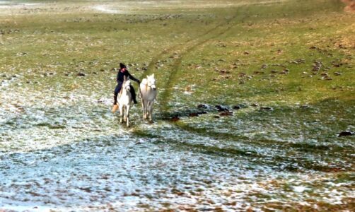 Δήμητρα Σωτηρίου - Ρομαντικός Δρόμος της Γερμανίας, στις Βαυαρικές Άλπεις