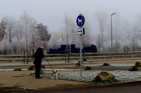 Δήμητρα Σωτηρίου - περιοχή Νυρεμβέργης, Γερμανία