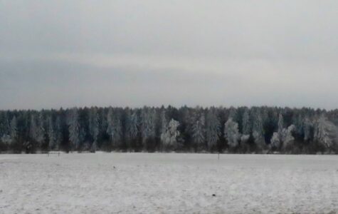 Δήμητρα Σωτηρίου - περιοχή Ομπεραμεργκάου, Γερμανία