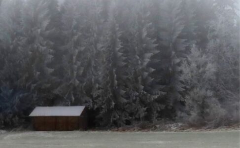 Δήμητρα Σωτηρίου- Ρομαντικός Δρόμος της Γερμανίας, στις Βαυαρικές Άλπεις