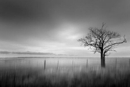 Chris Friel