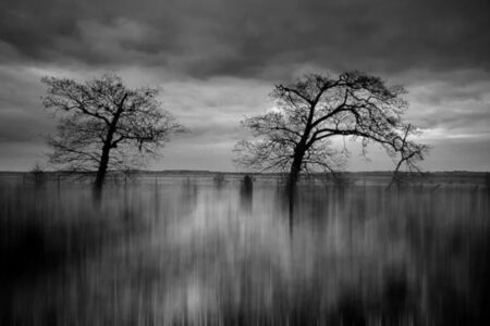 Chris Friel