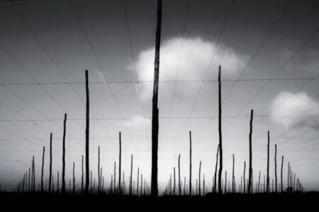 Chris Friel