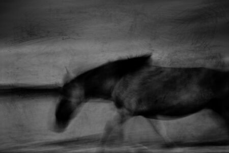 Chris Friel