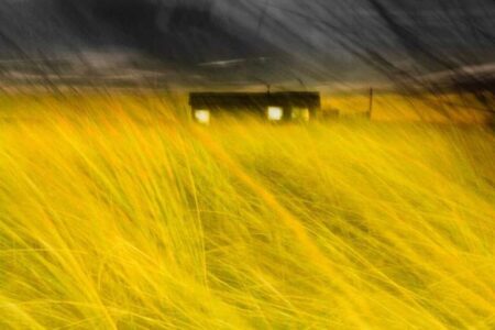Chris Friel