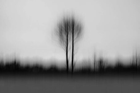 Chris Friel