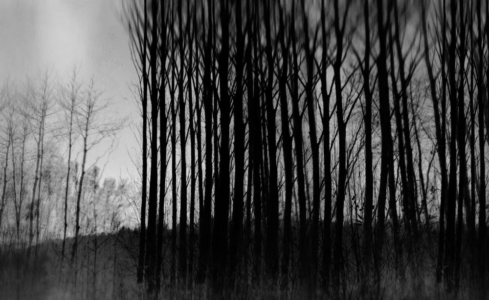 Chris Friel