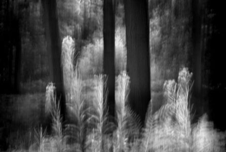 Chris Friel