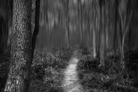 Chris Friel