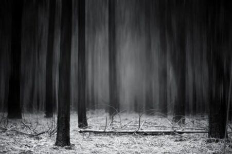 Chris Friel