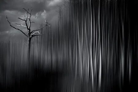 Chris Friel
