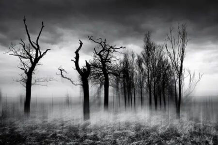 Chris Friel