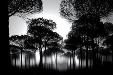 Chris Friel