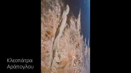 Κλεοπάτρα Αράπογλου