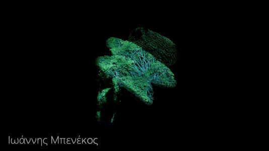 Ιωάννης Μπενέκος